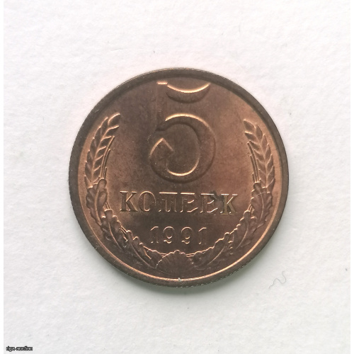 PSRS, 5 kap 1991 L, misins