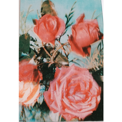 Soviet Stereoscopic (Lenticular / 3D) Postcard "Roses". 1975, USSR