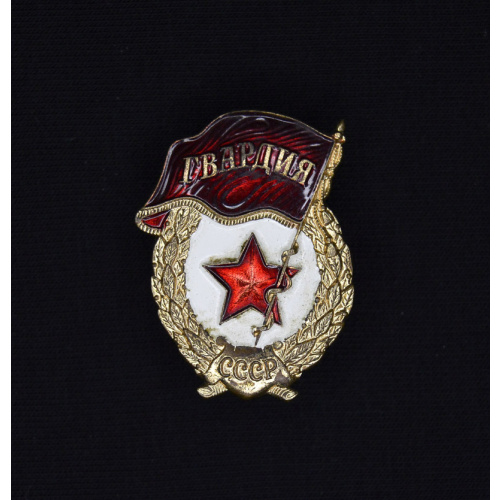 pin badge "Gvardiya"