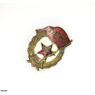 знак "Гвардия", СССР