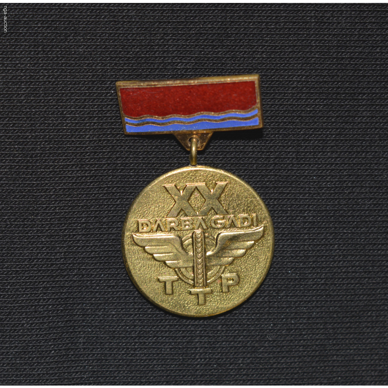 badge "20 Years of Work at TTP", Latvia, USSR